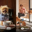 더리얼초코 이미지