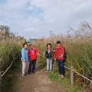 하늘공원 이미지