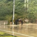 카페 랜드스케이프(LANDSCAPE) 이미지