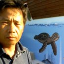 구조라범선 이미지