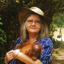 들가운데농장 이미지