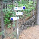 광덕1로6 이미지