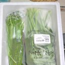 세뚜리푸드 | 네이버쇼핑, 홍성농협로컬푸드, 착한농부, 유기농 당근, 세뚜리 양배추, 세뚜리꾸러미