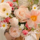 앤 플라워 이미지