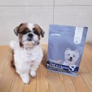 DS동물병원 | 가수분해사료단점 보완한 알러지사료, 강아지 눈물자국 지워준 닥터독 베츠초이스 피부사료