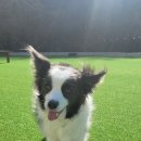 오나민박 이미지