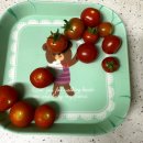 개미집 본점 이미지