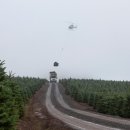 마운틴팜 이미지