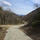 견두산 마애여래입상 | 구례 견두산 (산수유꽃 산행) 2025.03.28