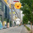 다산선약국 이미지