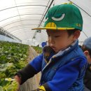 표씨농장 이미지