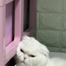 청주상용트럭공업사 | 1월 일상