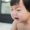 아이사진 이미지