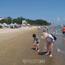 보성 - 1332 | 보성