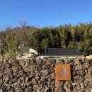 리스테이 이미지