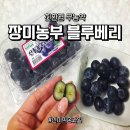 눈 건강을 위해 고른 장미농부 블루베리 - 한 통의 진심이 닿은 [내돈내산] 재주문 후기