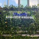 배미수영장 | 아산 배미수영장 평일 자유수영 후기(50m레인, 오리발 가능)