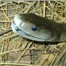블랙맘바 - 부평구 부평대로32번길 20 | 블랙맘바