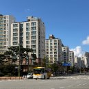 운정마트 | 운정신도시 생활 인프라 정리 마트 병원 학원 이용후기