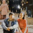 석파정 서울미술관 주차 사란란 전시 후기