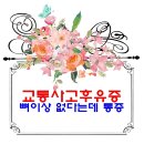 가온한의원 이미지