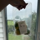 주차56 | 제주 동쪽 숙소 추천 제주 가성비 숙소 제주민박 탐탐56 내돈내산 후기