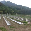 거창-가북-2 이미지