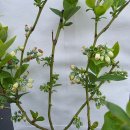 준2농장 이미지