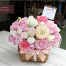 강남리즈산부인과의원 Daum카페