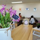 양평다나암병원 이미지