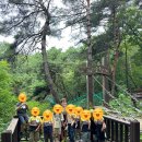 어상천초등학교, 어상천초교(병설유치원) 이미지