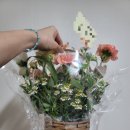 그린플라워앤가든 - 서구 둔지로 60 | 그린플라워앤가든