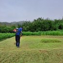 꽃심지 둔데기마을 이미지