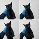 사직천안종합약국 이미지