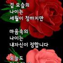 담담히