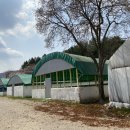 금원수목원수영장 이미지