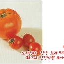 최고의 건강식품 토마토 .. 이미지