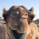 문하우스 이미지