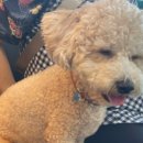 하비동물병원 이미지