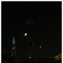 참견(犬) 이미지