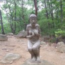 정령의숲 Daum카페