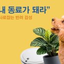 군자동 학습나루터 ★디지털시대 이제는 필수 온라인 바이럴 마케팅(블로그)★ | [내일배움캠프_본캠프] Day 29. 아티클 발표 &amp; 강의 마지막!