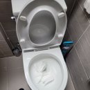 하카전자담배 안성공도점 | 안성 변기막힘 뚫는곳 - 공도 승두리 서희스타힐스 머리빗 꺼내기 후기