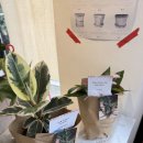 맑은샘약국 이미지