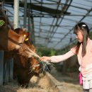 준우농장 이미지