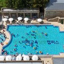 (주)서울매일신문