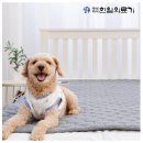 건강의료기 | 한일의료기 탄소매트 사용 후기, 따뜻함이 가득해요!