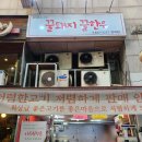 꿀돼지꿀한우