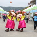 섬강목장 이미지