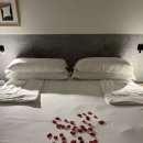 세레나농장 이미지